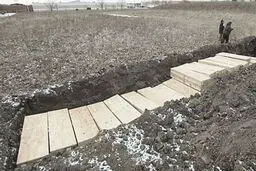 زندانیان گورهای دسته جمعی برای قربانیان کرونا در نیویورک حفر می‌کنند
