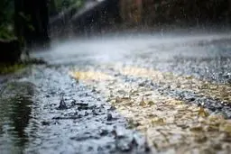 وضعیت آب و هوا در ۲۱ فروردین / بارندگی تا شنبه ادامه دارد