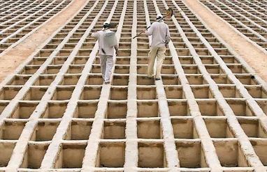 پاسخ به ابهامات غسل و دفن قربانیان کرونا در بهشت زهرا