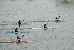 کرونا مسابقات رویینگ را هم لغو کرد