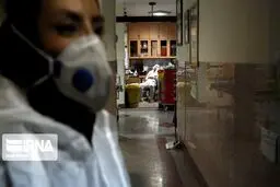 رییس سازمان نظام پرستاری: وزیر بهداشت به ماجرای اخراج پرستاران از بیمارستان‌های خصوصی ورود کند