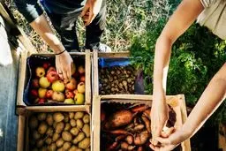 هشدار سازمان ملل؛ احتمال تهدید عرضه غذا و ضرورت همکاری بین‌المللی