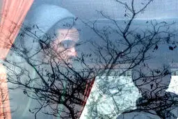 هشدار به خانواده‌های دارای فرد «معتاد» برای پیشگیری از ابتلا به «کرونا»
