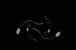 چگونه یون‌های نقره باکتری‌ها را از بین می‌برند؟