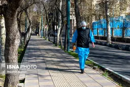 کرونا تا پاییز
