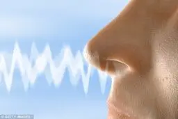 تاکید پزشکان بر اختلال بویایی به عنوان نشانه اولیه کووید-۱۹