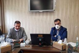 موج جدید هجوم ملخ صحرایی تا ۱۵ روز آینده به کشور وارد می شود