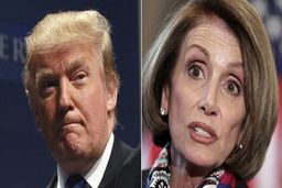 کنایه جالب پلوسی به ترامپ:فکر می‌کند کرونا با جادو غیب می‌شود!