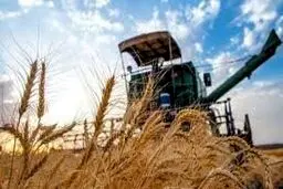 کرونا چقدر آسیب به بخش کشاورزی وارد کرد؟