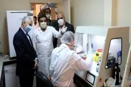 تصویب ۲۰ طرح برای مقابله با کرونا در پژوهشگاه ملی مهندسی ژنتیک