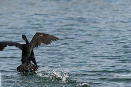 ایجاد ۵۰ دریاچه جدید در کشور پس از بارندگی‌های اخیر