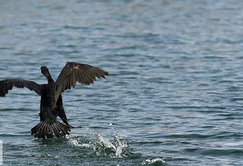 ایجاد ۵۰ دریاچه جدید در کشور پس از بارندگی‌های اخیر