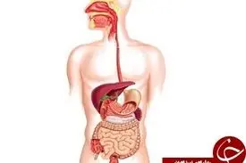 بیماران کرونایی و عوارض گوارشی