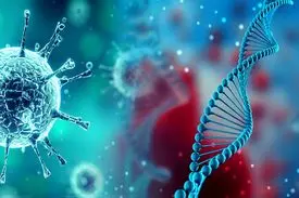 کرونا چه زمانی از بین می‌رود؟