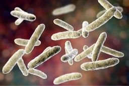 پروبیوتیک‌های مرده‌ هم برای مقابله با التهاب مفیدند