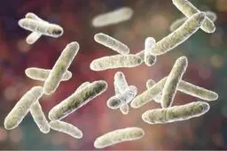 پروبیوتیک‌های مرده‌ هم برای مقابله با التهاب مفیدند