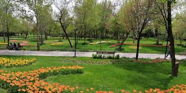 هشدار در مورد احتمال انتقال ویروس کرونا در بوستان‌ها