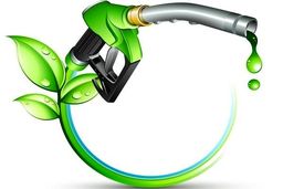 تولید سوخت زیستی توسط دو دانش‌آموز