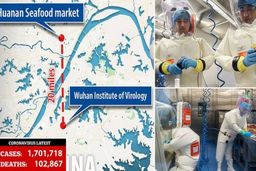 سرنخ‌هایی از عامل شیوع کرونا به دست آمد