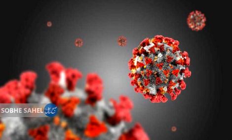 زنده‌باد زنان!