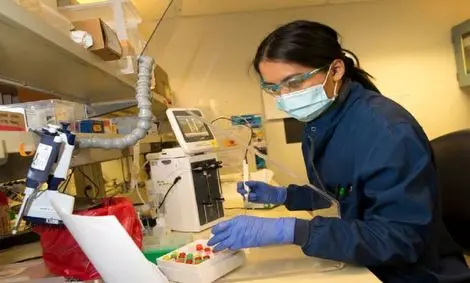 دارویی که از پیشروی ویروس کرونا در بدن جلوگیری می‌کند