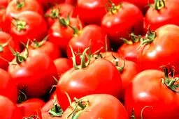 قاچاق نوشابه انرژی‌زا در پوشش گوجه‌فرنگی!
