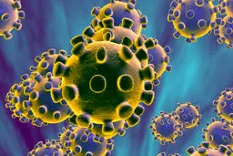 تمیزترین و کثیف‌ترین کشورها کدامند؟