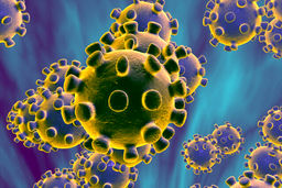 «زندگی در جهنّم کرونا»