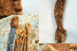 کرونا، سرباز اشکانی را در مازندران از گور درآورد