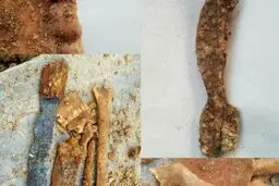 کرونا، سرباز اشکانی را در مازندران از گور درآورد