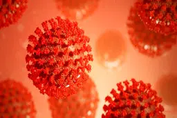 تشخیص مصونیت ابتلای مجدد به کروناویروس در ۱۰ دقیقه