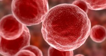 غلبه بر سرطان با یک روش جدید ایمنی‌درمانی