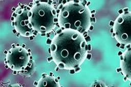 خبر خوش استاندار قم / به آرامش نسبی در کنترل بیماری کرونا ‌رسیده‌ایم