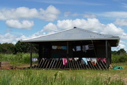 وضعیت نگران‌کننده بومیان برزیل در همه‌گیری کرونا