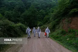 ‌فعلا بر مساله زندگی در کرونا تمرکز کنیم