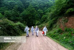 ‌فعلا بر مساله زندگی در کرونا تمرکز کنیم