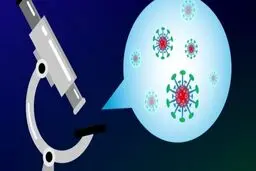 کشف یک جهش منحصر به فرد در ویروس کرونا