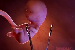 محرز: ویروس کرونا باعث سقط جنین نمی‌شود