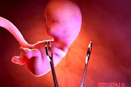 محرز: ویروس کرونا باعث سقط جنین نمی‌شود