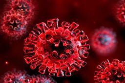 ویروس کرونا در جهش جدید خود ضعیف‌تر می‌شود