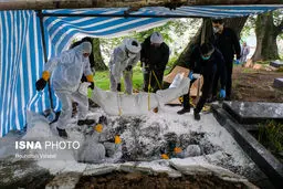 کرونا و اختلال تشخیص صورت مساله