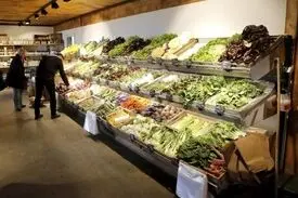 کاهش قیمت جهانی مواد غذایی بخاطر کرونا
