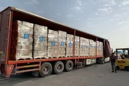 سرقت محموله ۴۰۰ هزار یورویی ماسک‌های فرانسوی در اسپانیا