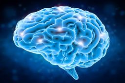 چرا باید بیش از همیشه مواظب سلامت مغزمان باشیم!