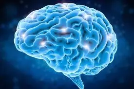 چرا باید بیش از همیشه مواظب سلامت مغزمان باشیم!