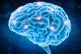 چرا باید بیش از همیشه مواظب سلامت مغزمان باشیم!