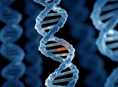 امنیت غذایی کشور را با حفظ ذخایر ژنتیکی تامین کنیم