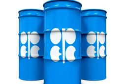 سبد نفتی اوپک دو دلار گران شد