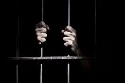 مدیرعامل سابق هپکو به ۶ ماه حبس تعزیری محکوم شد