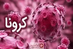 ۱۴۸۱ بیمار جدید مبتلا به کرونا در کشور شناسایی شد/ در ۲۴ ساعت گذشته در ۱۴ استان، موارد فوتی نداشته ایم